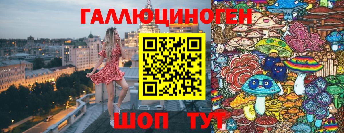Псилоцибиновые грибы мицелий  Вход с VPN  Усть-Джегута 