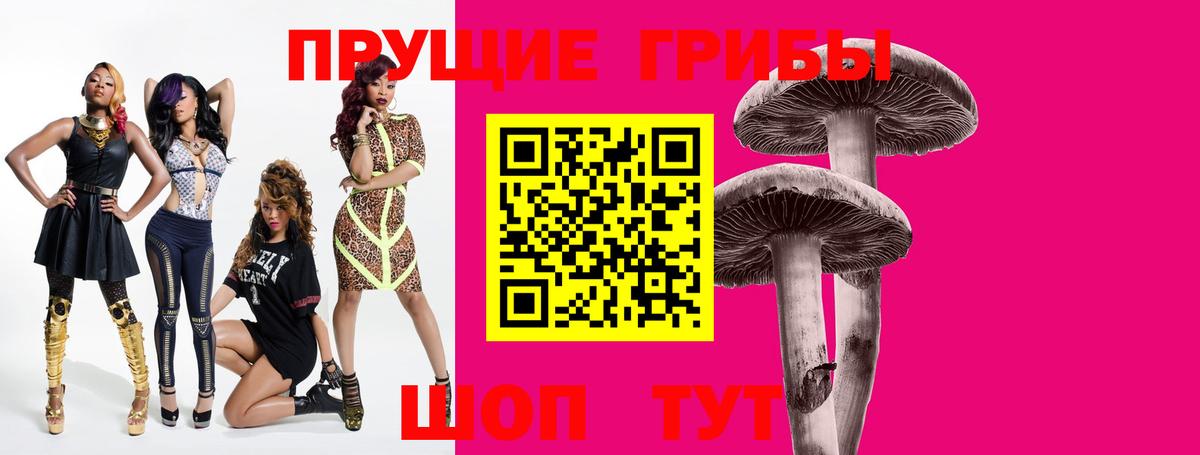 Псилоцибиновые грибы Cubensis Усть-Джегута